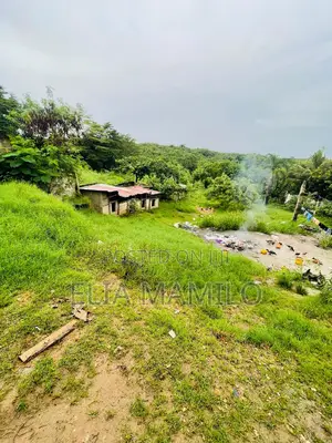 Plot Facing the Road Is for Sale in Dar ES Salaam Makongo