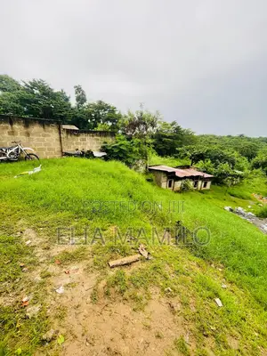 Plot Facing the Road Is for Sale in Dar ES Salaam Makongo