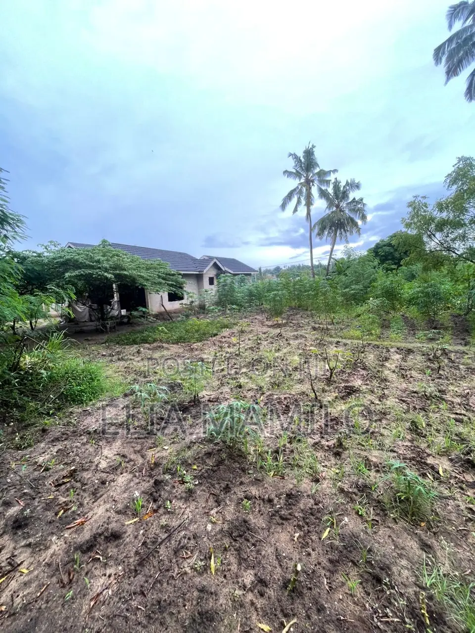 Corner Plot for Sale in Dar ES Salaam Sala Sala Iptl