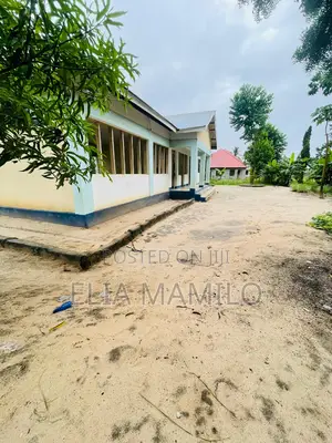 Plot for Sale in Chamazi, Mbagala, Facing the Tarmac Road