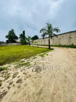 Plot for Sale in Chamazi, Mbagala, Facing the Tarmac Road