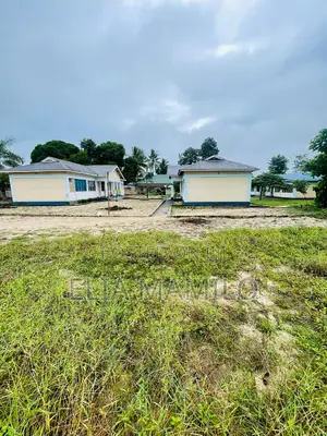 Plot for Sale in Chamazi, Mbagala, Facing the Tarmac Road