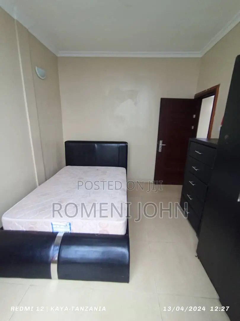 Furnished 2bdrm Apartment in Tanzania Dsm Upanga., Ukonga for rent