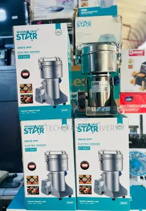 Winning Star Electric Grinder (500 Gram)