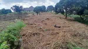 Plot for Sale Mbez Mpigi Magoe