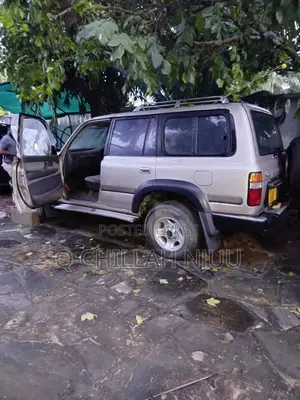 Toyota Land Cruiser 1996 Silver