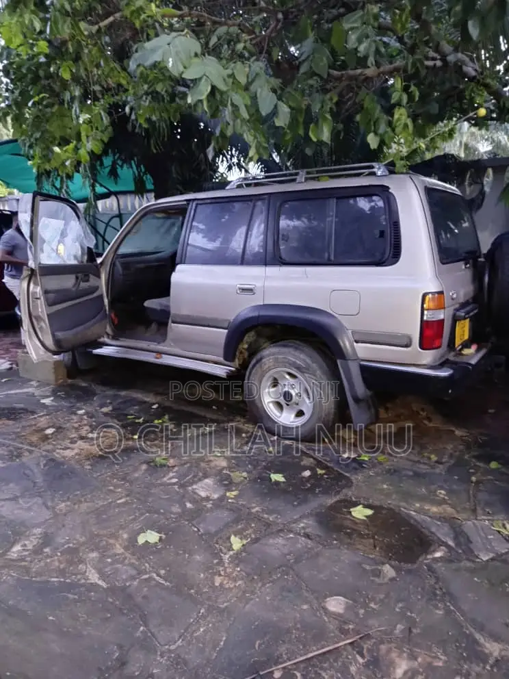 Toyota Land Cruiser 1996 Silver
