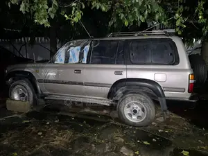 Toyota Land Cruiser 1996 Silver