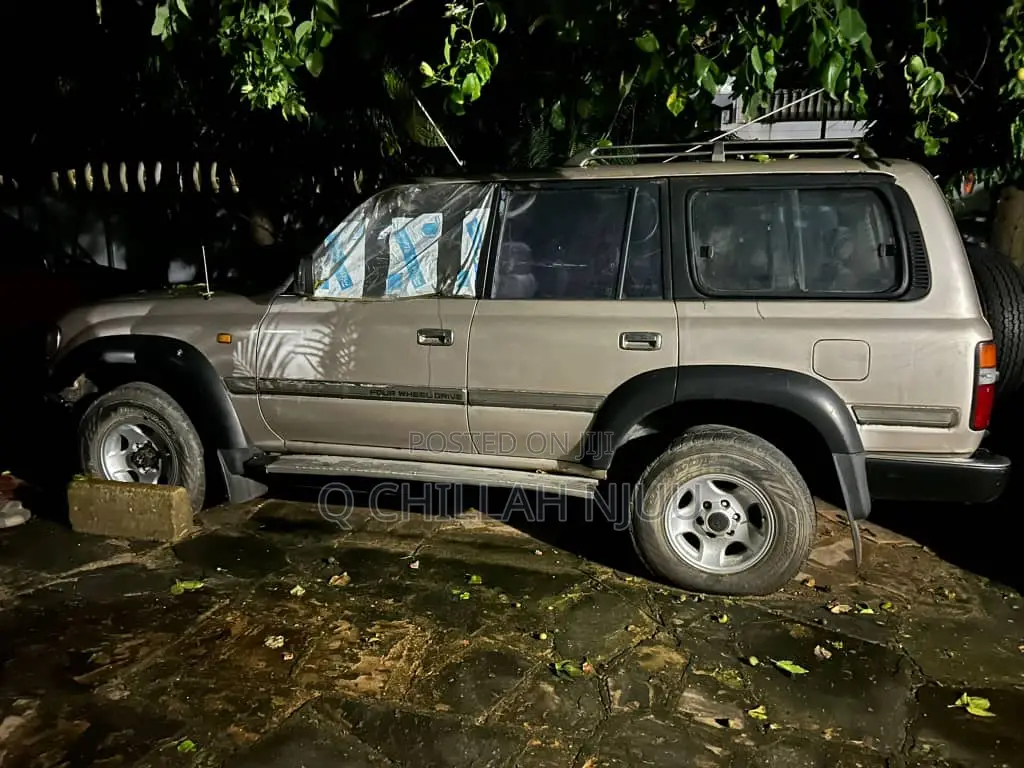 Toyota Land Cruiser 1996 Silver
