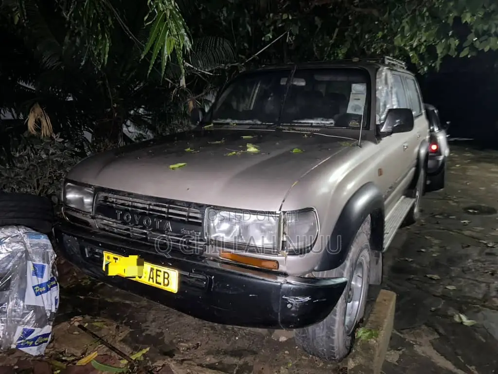 Toyota Land Cruiser 1996 Silver