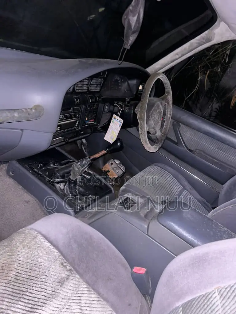Toyota Land Cruiser 1996 Silver