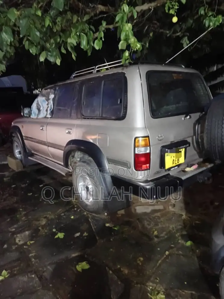 Toyota Land Cruiser 1996 Silver