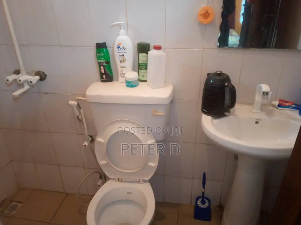1bdrm Apartment in Kariakoo for rent