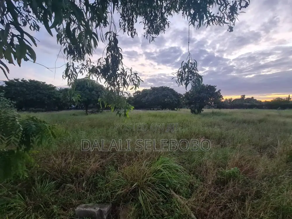 Plot at Bunju Shule Investment Area