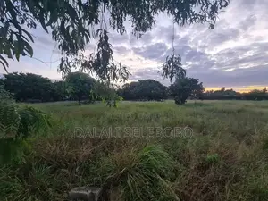 Plot at Bunju Shule Investment Area