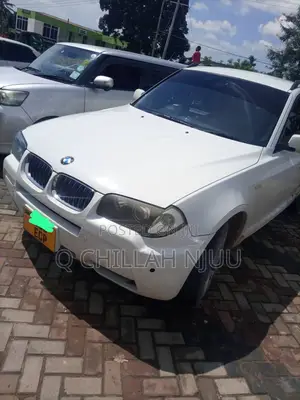 BMW X3 xDrive30i 2010 White