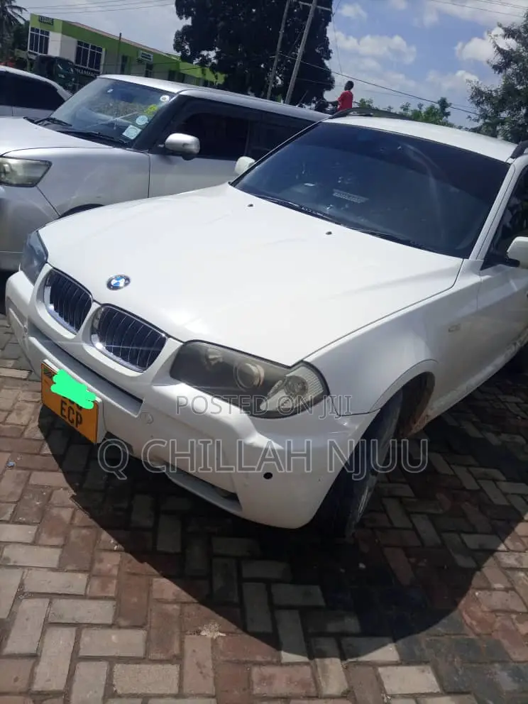 BMW X3 xDrive30i 2010 White