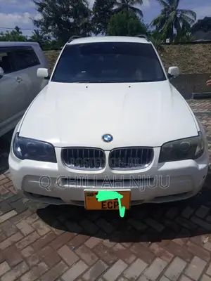 BMW X3 xDrive30i 2010 White
