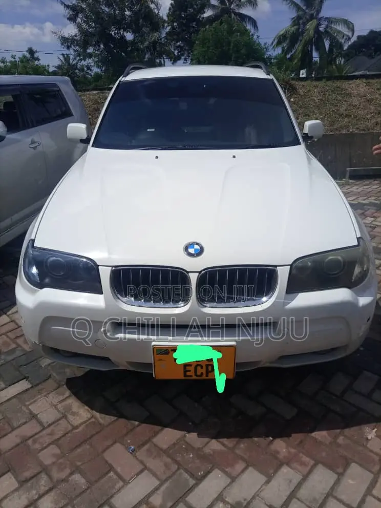 BMW X3 xDrive30i 2010 White
