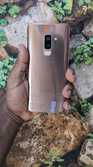 Samsung Galaxy S9 Plus 64 GB Gold