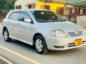 Toyota Allex 2004 Silver