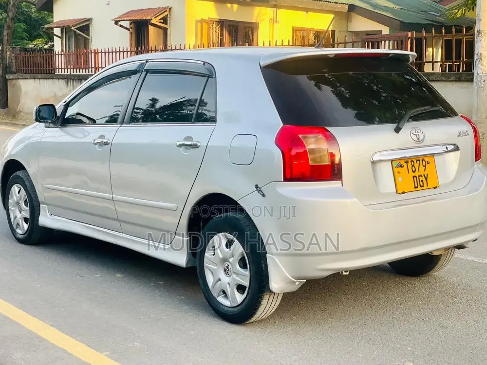 Toyota Allex 2004 Silver
