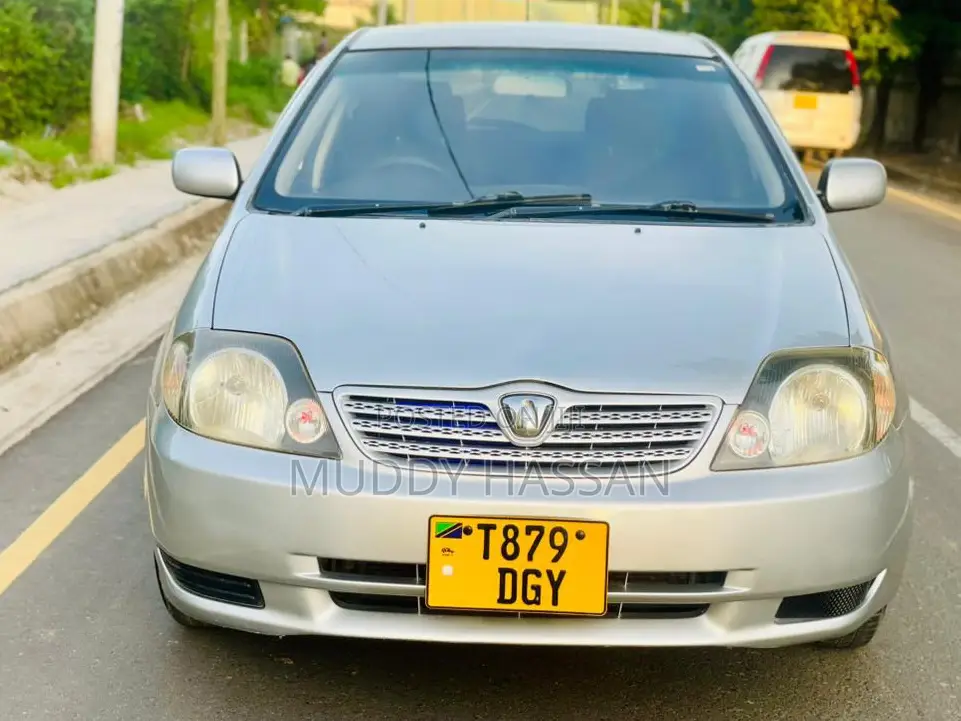 Toyota Allex 2004 Silver