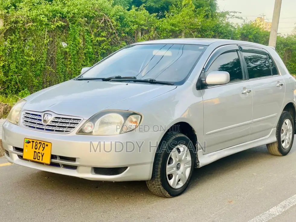 Toyota Allex 2004 Silver