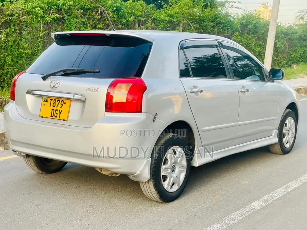 Toyota Allex 2004 Silver