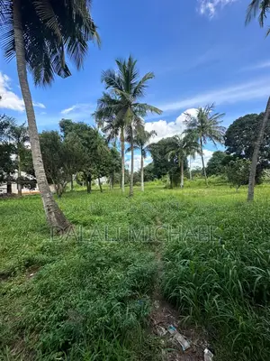 15000 SQMS Plot for Sale Kerege