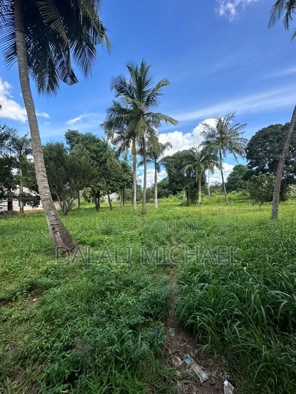 15000 SQMS Plot for Sale Kerege