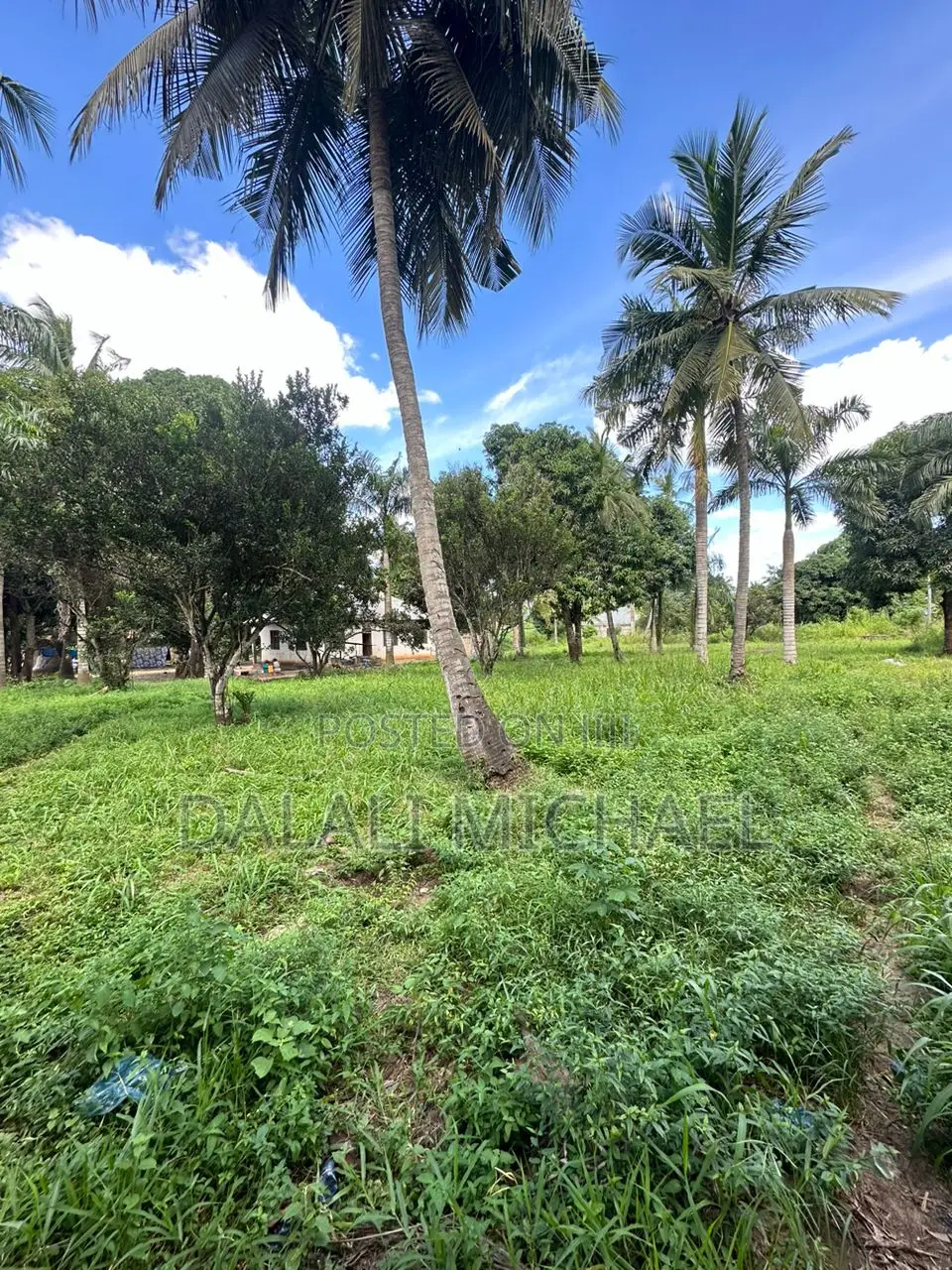 15000 SQMS Plot for Sale Kerege