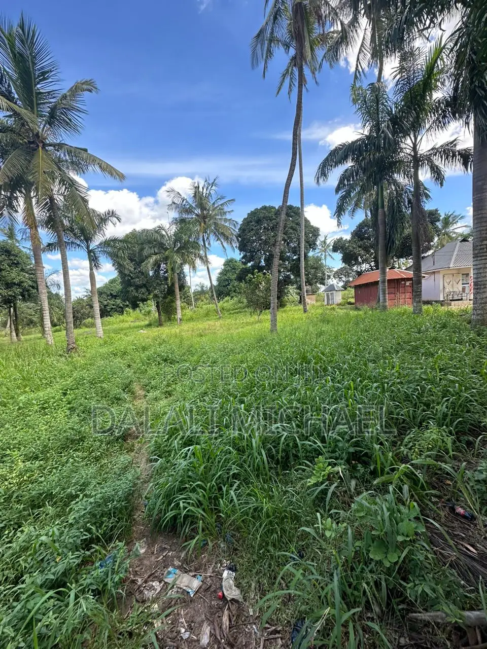 15000 SQMS Plot for Sale Kerege
