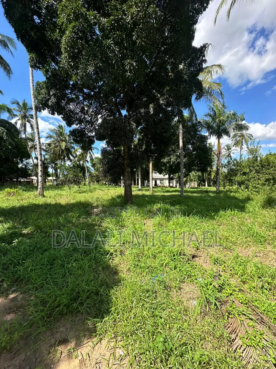 15000 SQMS Plot for Sale Kerege
