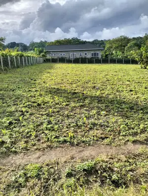 2100 SQM of Land in USA River-Arusha