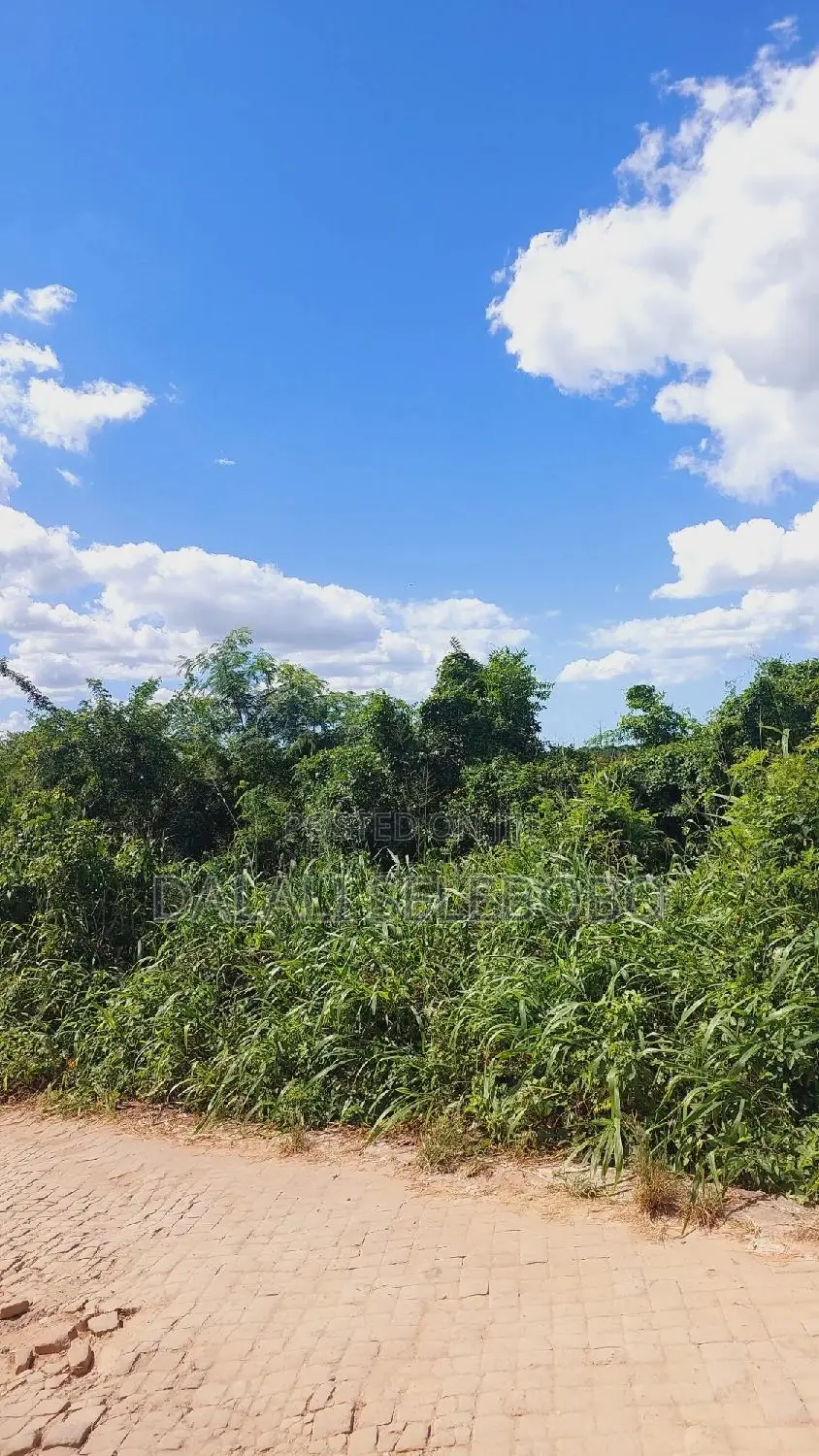 1bdrm Farm House in Ubungo Msewe Golani, Kinondoni for rent