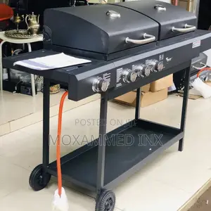 Combination Gas Charcoal Grill