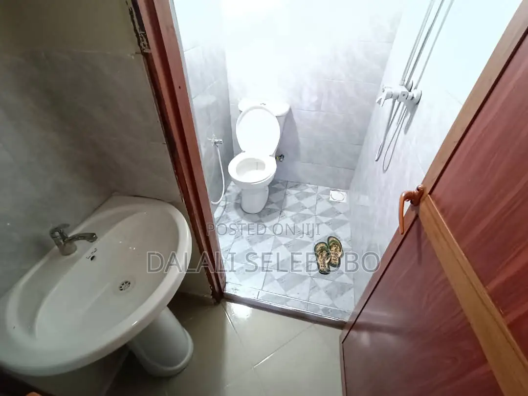 1bdrm House in Sinza Vatcan for rent