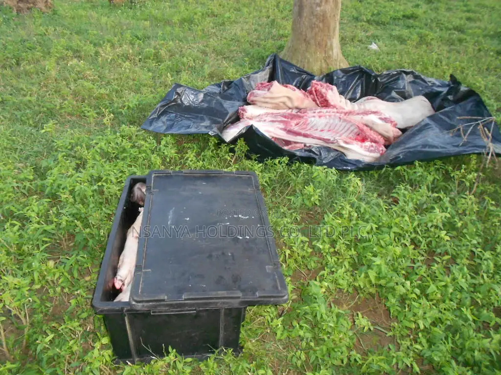Tunauza Nyama Ya Nguruwe Ya Kawaida Kg 1 TSHS 15,000/=