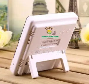 Digital Thermometer Scale
