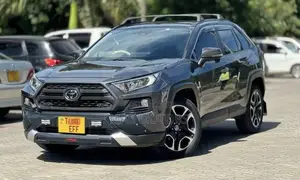Toyota RAV4 Adventure AWD 2020 Gray