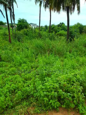 Plot/Ordinary House for Sale at MBEZI BEACH MAKONDE