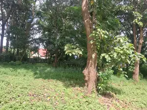 7000 Square Meters Of Land In Sakina-arusha