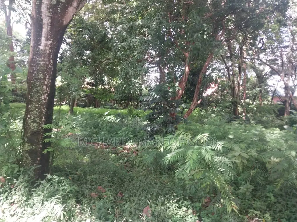 7000 Square Meters Of Land In Sakina-arusha
