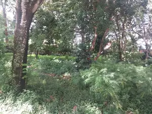 7000 Square Meters Of Land In Sakina-arusha