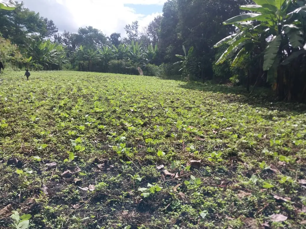 7000 Square Meters Of Land In Sakina-arusha