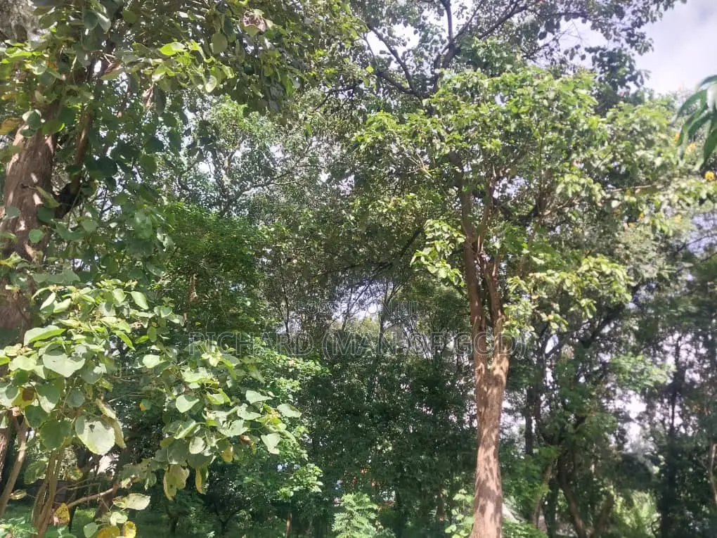 7000 Square Meters Of Land In Sakina-arusha