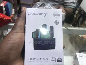 BAIWANGLI Wireless Microphone (DOUBLE) With Charging Case
