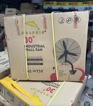 Industrial Wall Fan Size 30