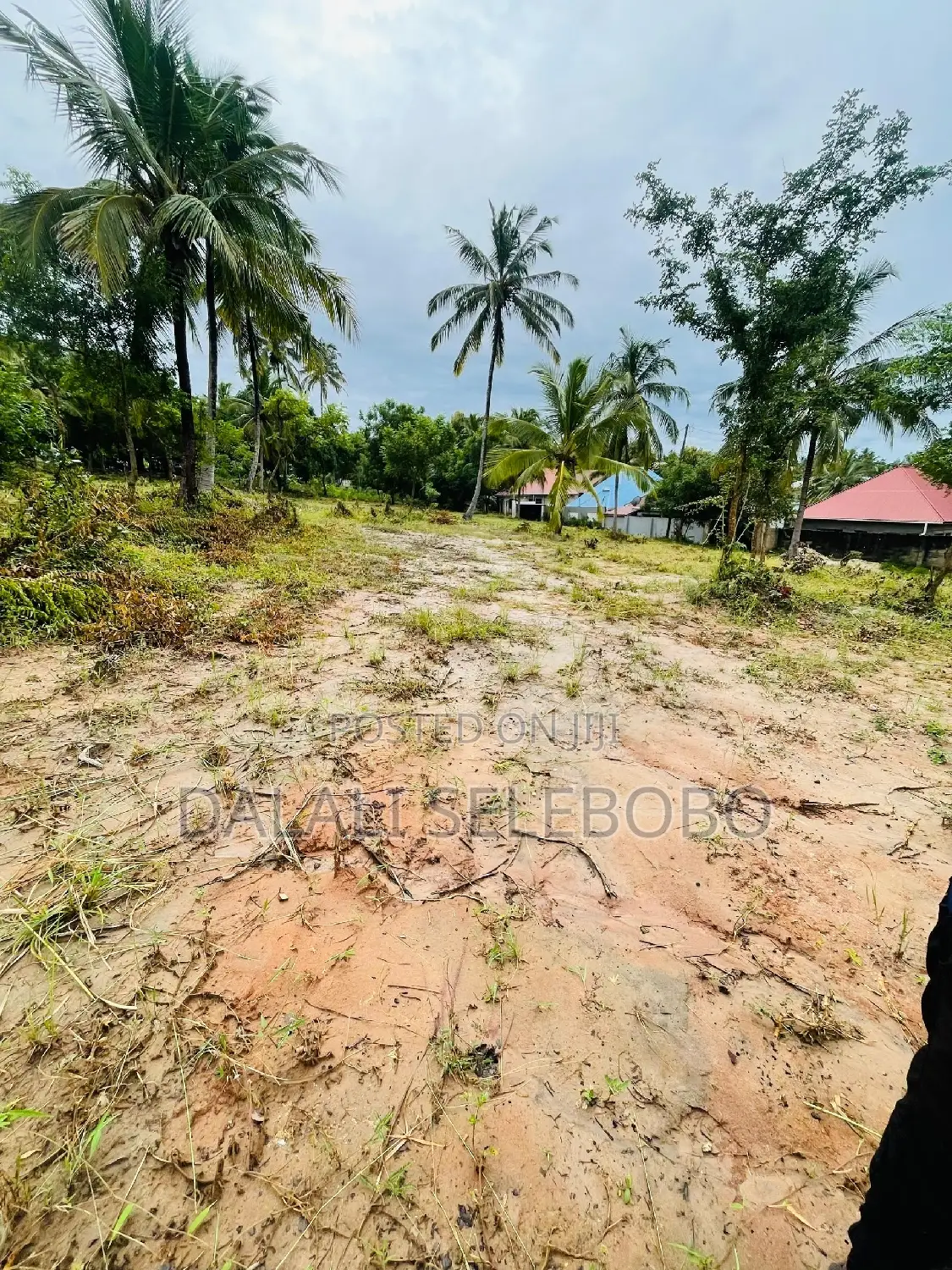 Plot at Goba Senta